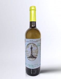 Caja Vino Blanco Macabeo - 0,75L  (Caja 6u) 2